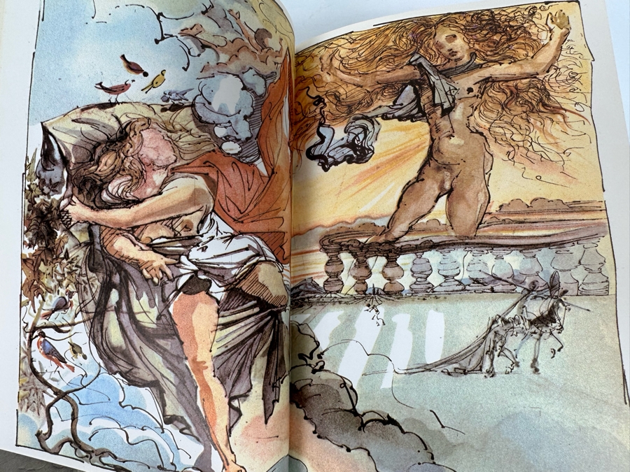 First Edition Hardcover Book Don Quixote De La Mancha Illustrated By Salvador Dali Abbeville Press 1979 [Photo 15]