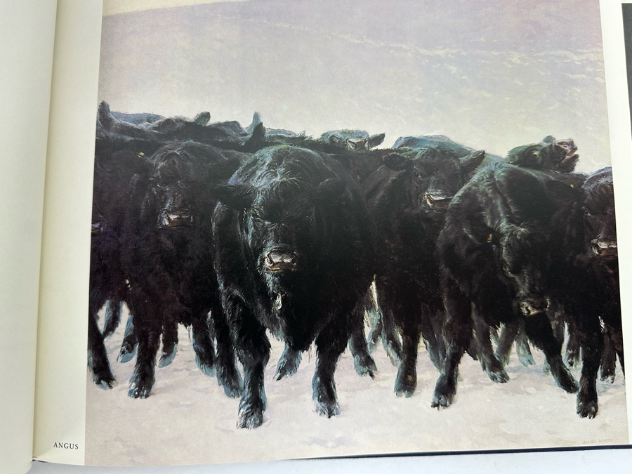 First Printing Hardcover Book Jamie Wyeth 1980 [Photo 17]