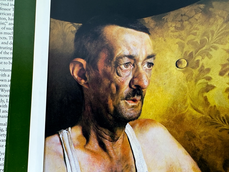 First Printing Hardcover Book Jamie Wyeth 1980 [Photo 11]