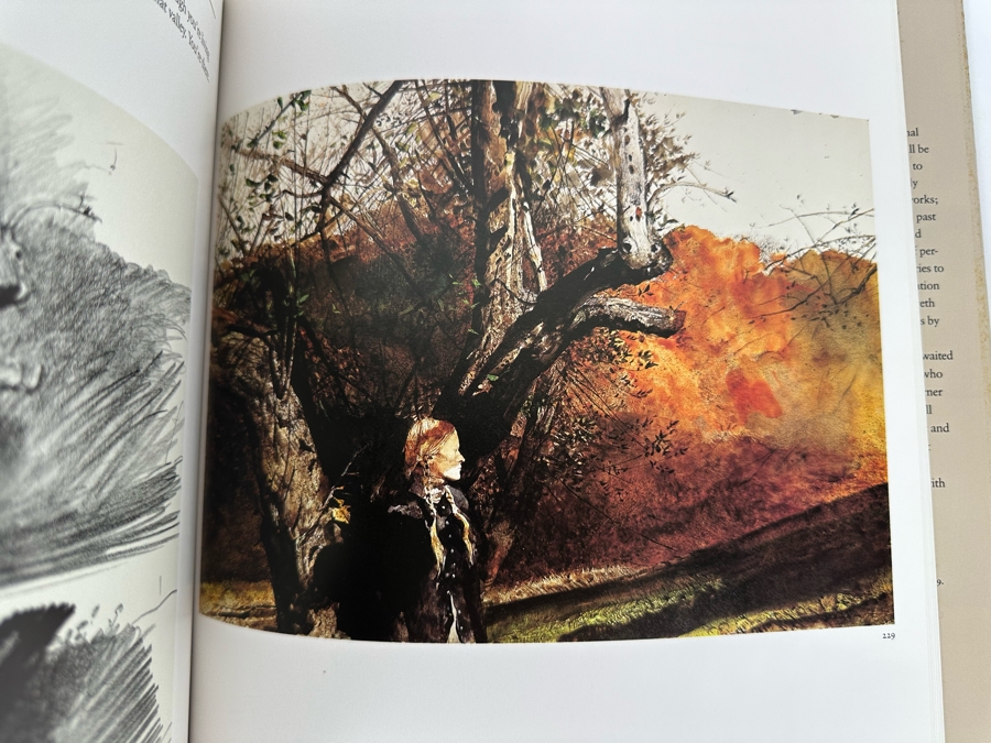 First Edition Hardcover Book Andrew Wyeth The Helga Pictures 1987   53128 Sqbl 