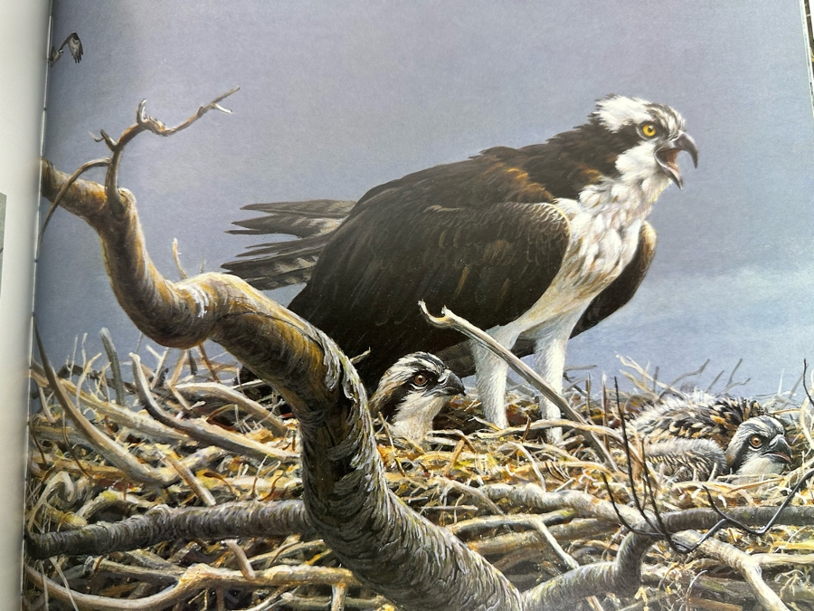 Robert Bateman Signed First Edition Hardcover Book 1990 An Artist In Nature [Photo 16]