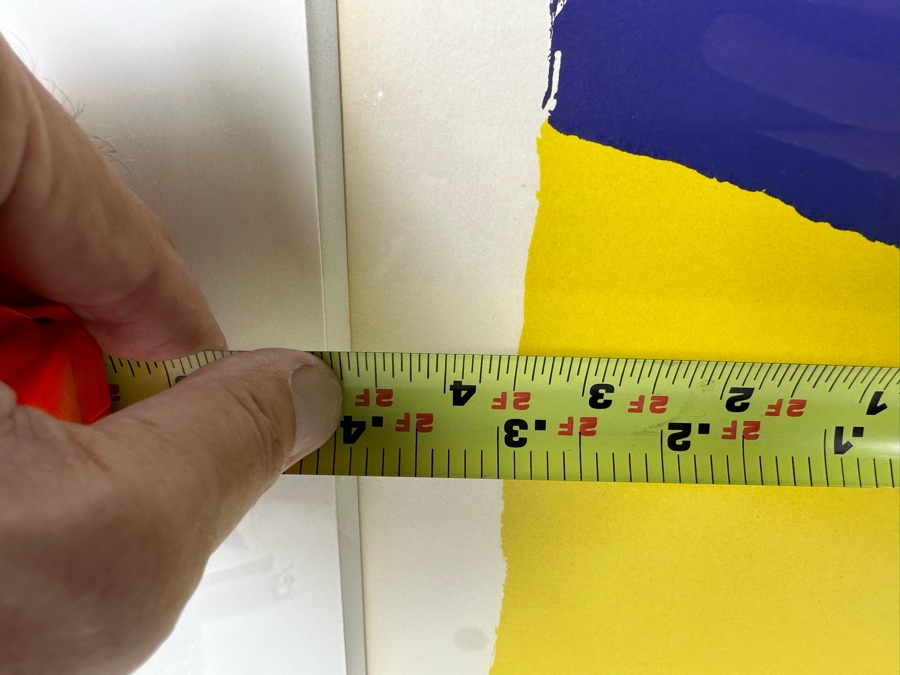 Karel Appel (1921-2006, Dutch) Hand Signed Limited Edition Lithograph 1975 Numbered 2 Of 100 28.5 X 23 Framed 35 X 30 [Photo 15]