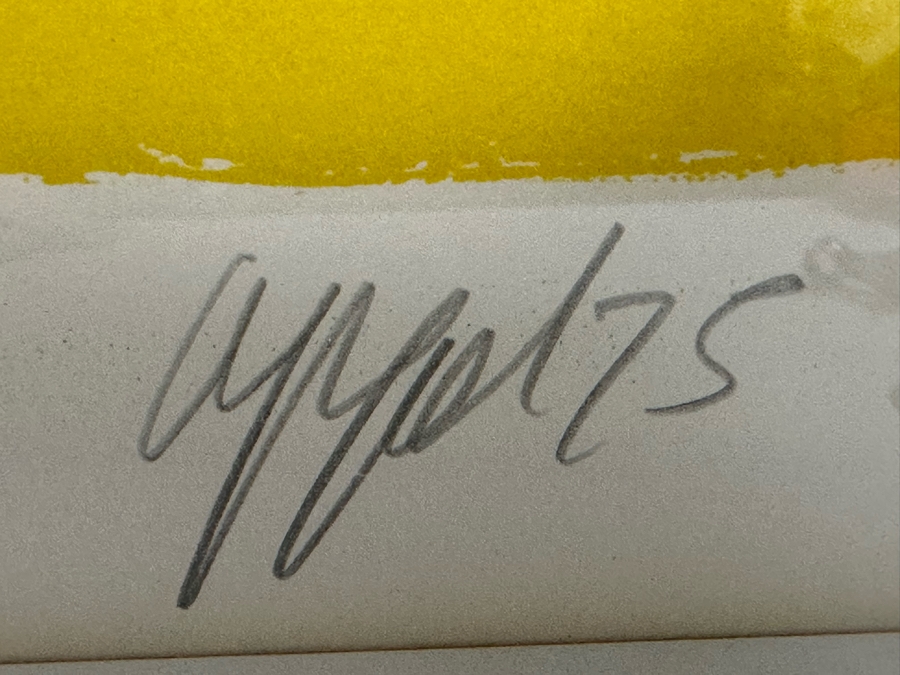 Karel Appel (1921-2006, Dutch) Hand Signed Limited Edition Lithograph 1975 Numbered 2 Of 100 28.5 X 23 Framed 35 X 30 [Photo 10]