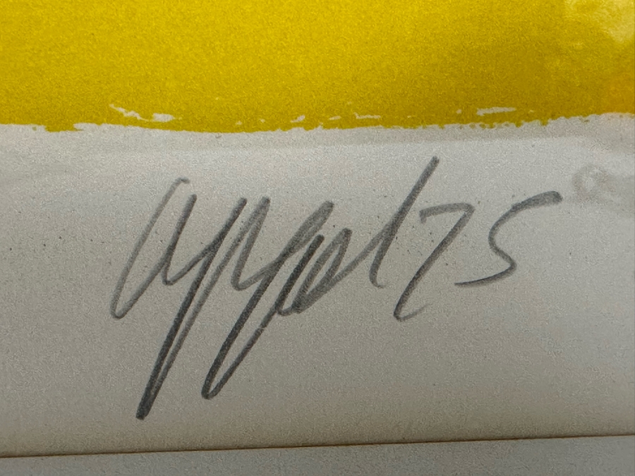 Karel Appel (1921-2006, Dutch) Hand Signed Limited Edition Lithograph 1975 Numbered 2 Of 100 28.5 X 23 Framed 35 X 30 [Photo 9]