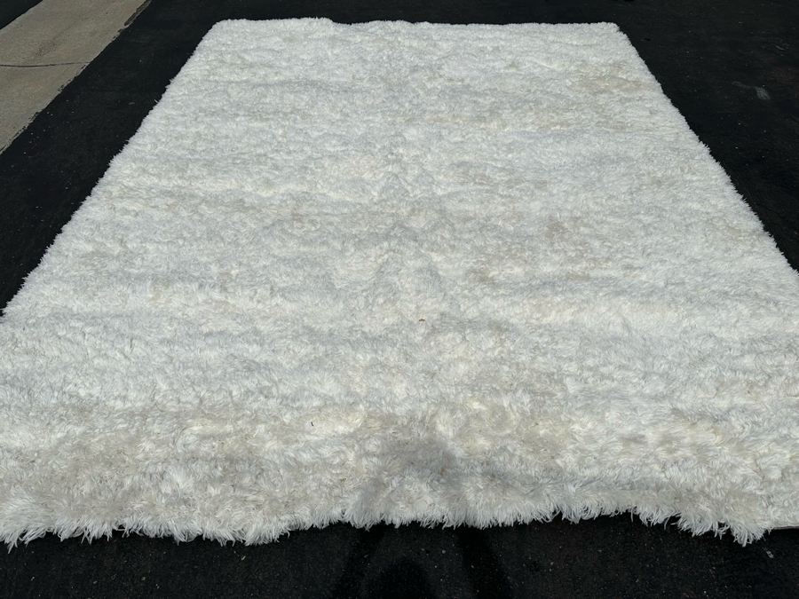 Beckley Collection Pearl Color Synthetic Area Rug 9' 6' X 13' 6' [Photo 5]