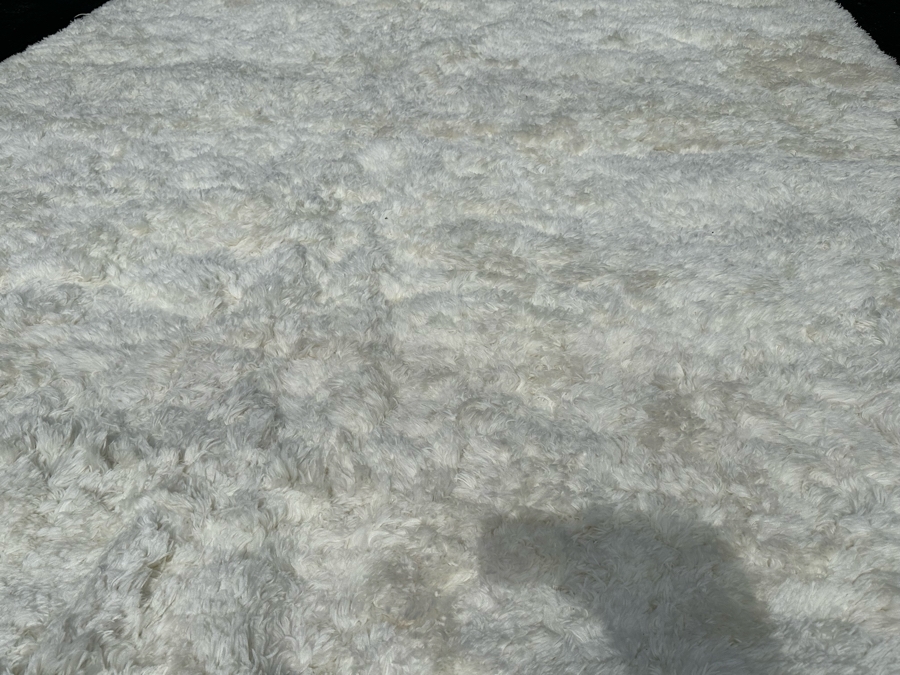 Beckley Collection Pearl Color Synthetic Area Rug 9' 6' X 13' 6' [Photo 8]