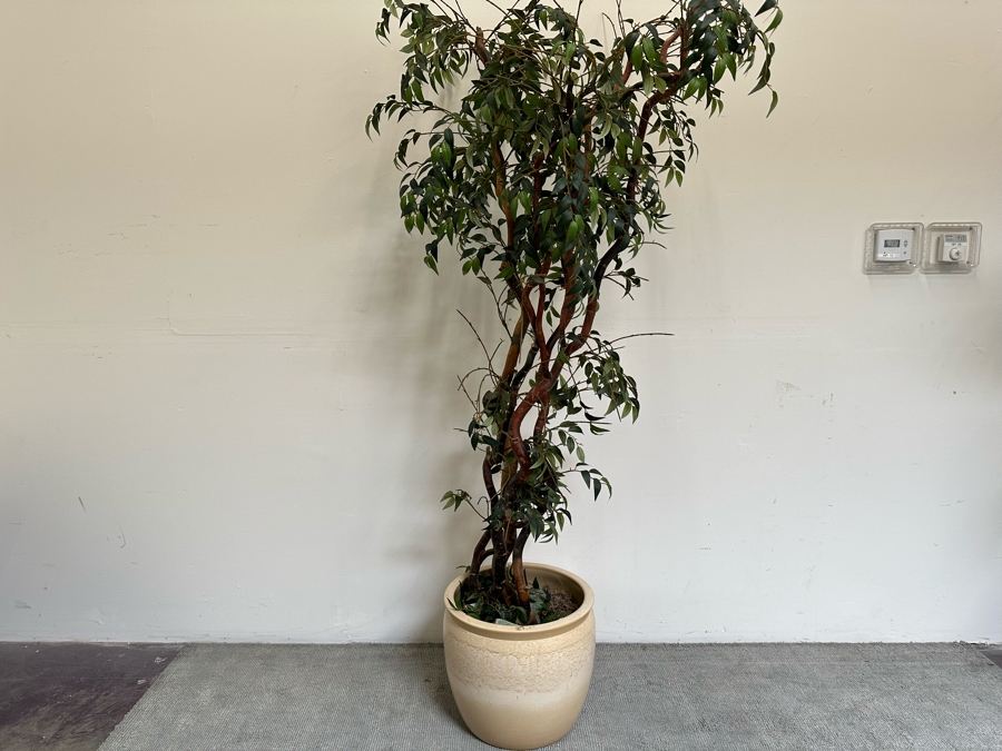 Artificial Indoor Plant 91H With Pot 19W [Photo 3]