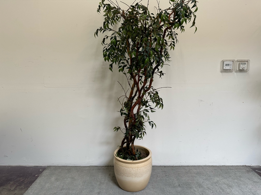 Artificial Indoor Plant 91H With Pot 19W [Photo 2]