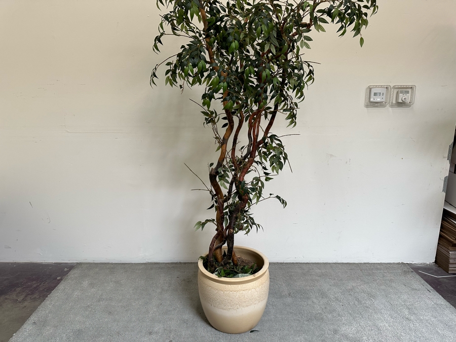 Artificial Indoor Plant 91H With Pot 19W [Photo 1]