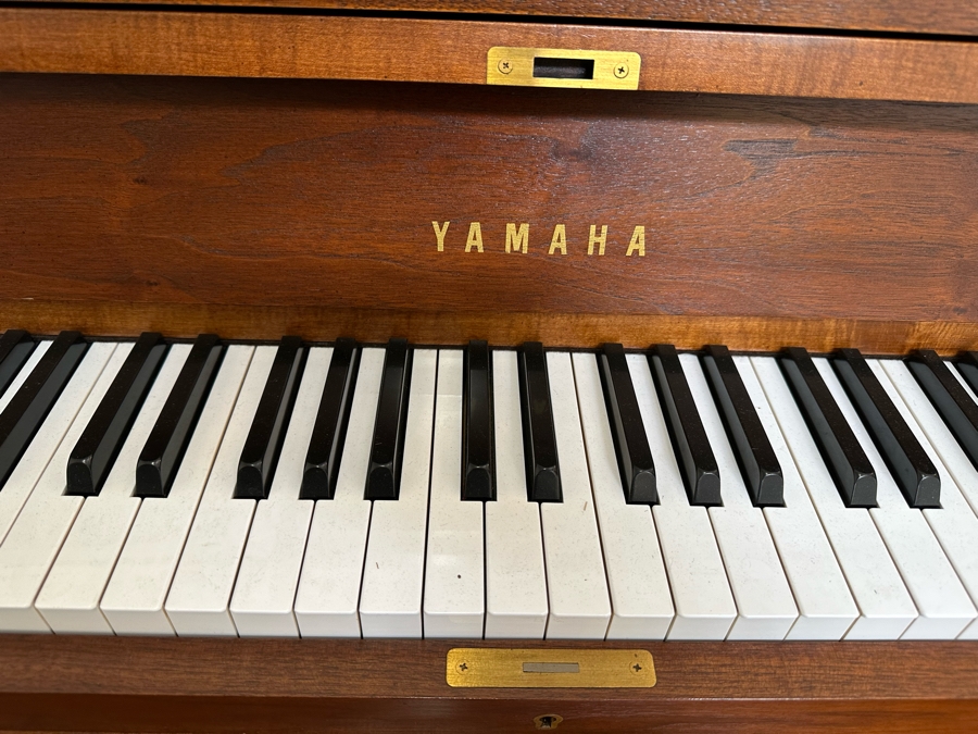 YAMAHA Acoustic P22 Upright Piano In Walnut With Bench 59W X 23.5D X 45.5H [Photo 6]