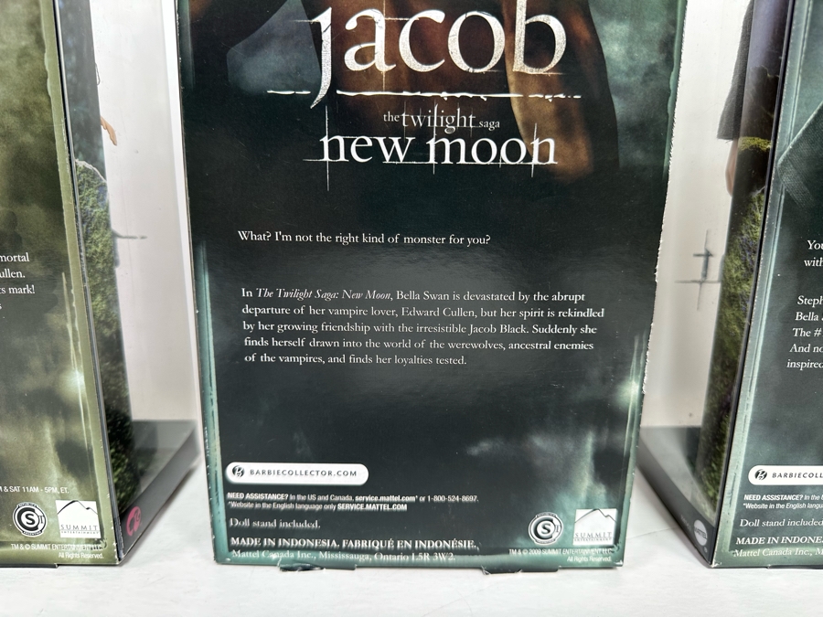 Twilight and New Moon Movie Pink Label Collection Mattel Barbie Dolls Edward, Jacob and Bella 2009 New In Box R4161/R9909/R4162 [Photo 13]