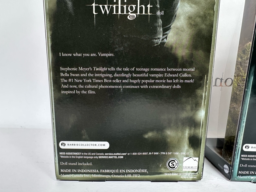 Twilight and New Moon Movie Pink Label Collection Mattel Barbie Dolls Edward, Jacob and Bella 2009 New In Box R4161/R9909/R4162 [Photo 11]