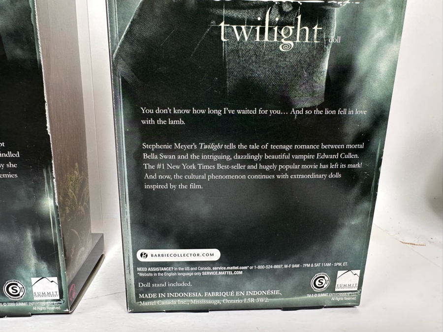Twilight and New Moon Movie Pink Label Collection Mattel Barbie Dolls Edward, Jacob and Bella 2009 New In Box R4161/R9909/R4162 [Photo 15]