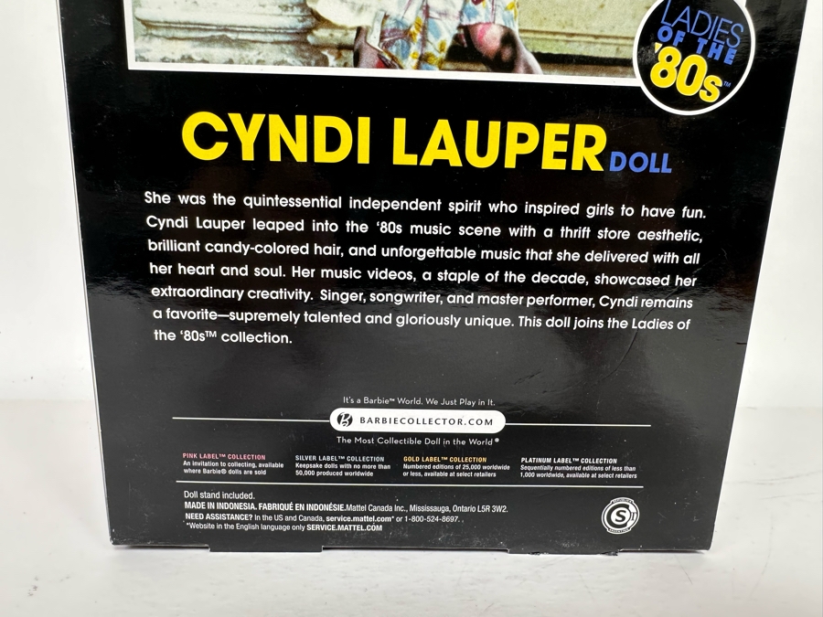 Cyndi Lauper Pink Label Collection Mattel Barbie Doll 2009 New In Box R4460 [Photo 8]