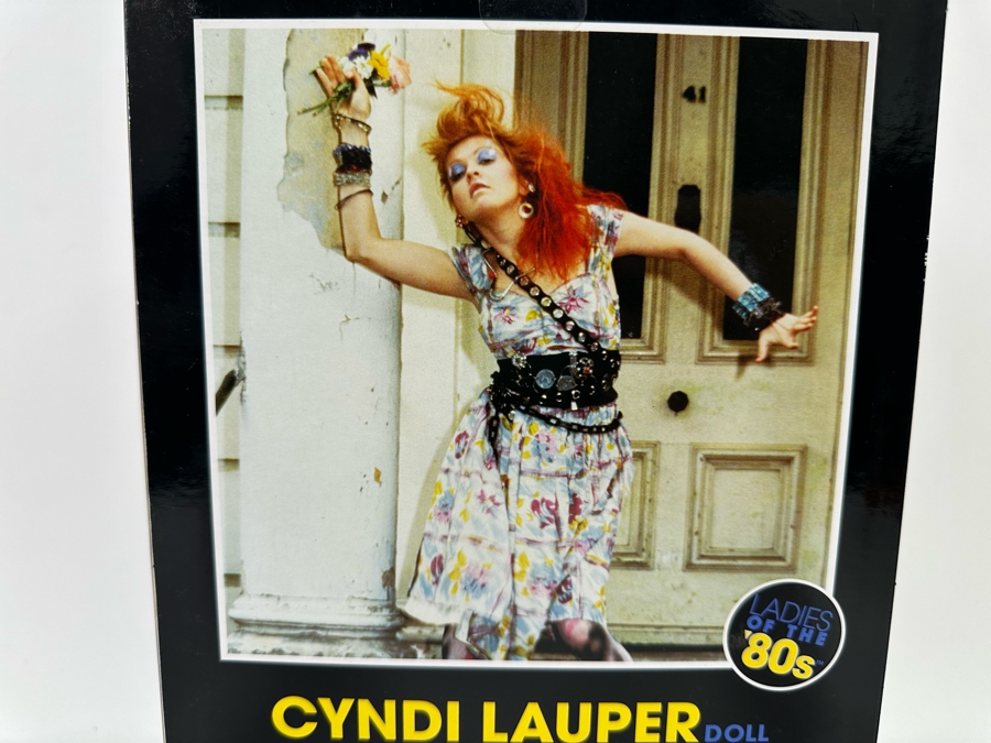 Cyndi Lauper Pink Label Collection Mattel Barbie Doll 2009 New In Box R4460 [Photo 7]
