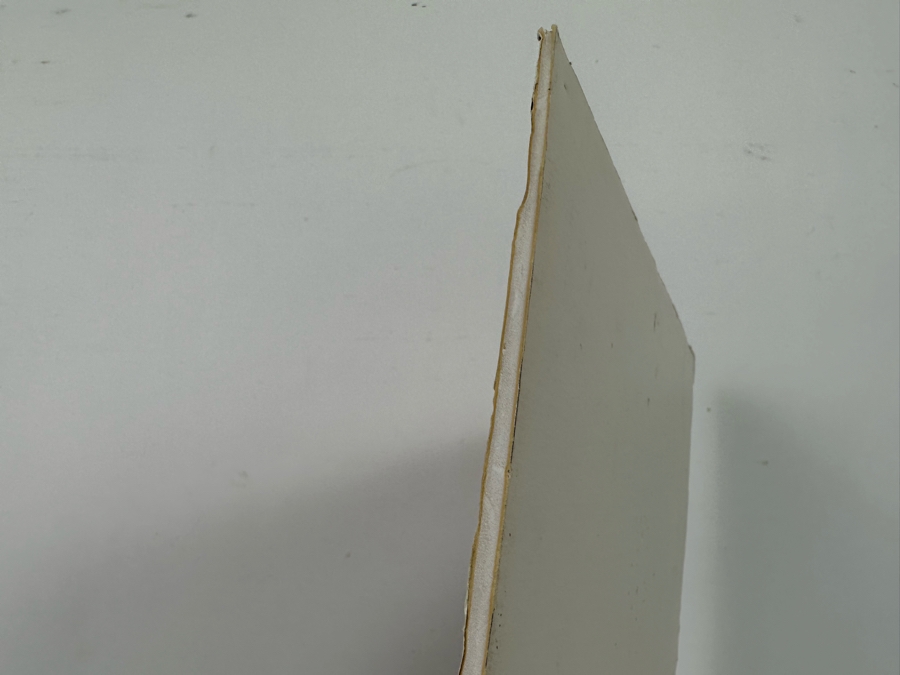 Vintage Blazing Boards Rick Griffin Artwork Surf Movie Poster 12 X 18.5 [Photo 6]