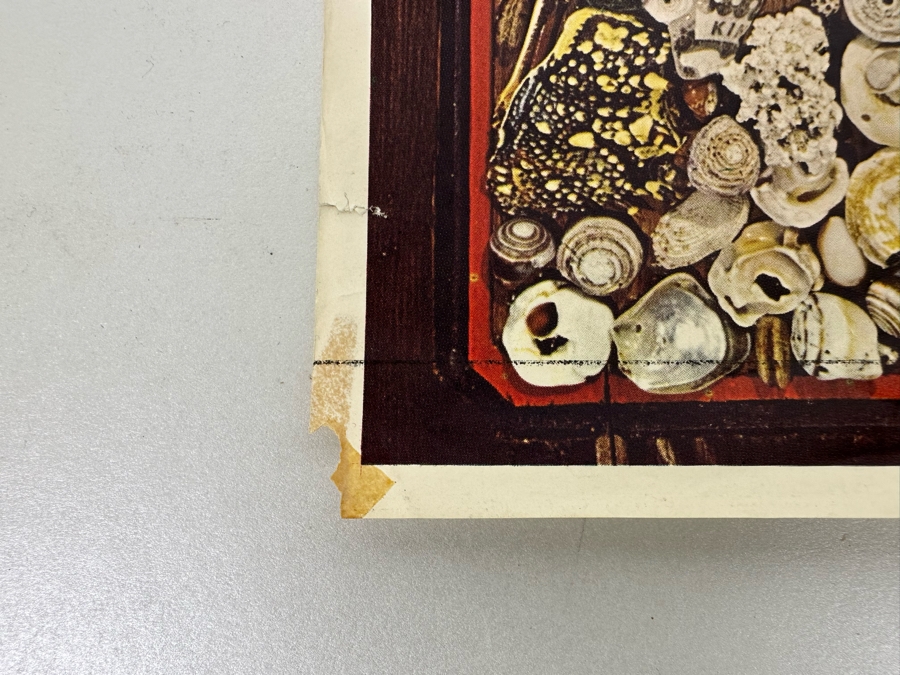 Vintage 'A Sea for Yourself' Surf Movie Poster by Hal Jensen 12 X 18.5 [Photo 7]