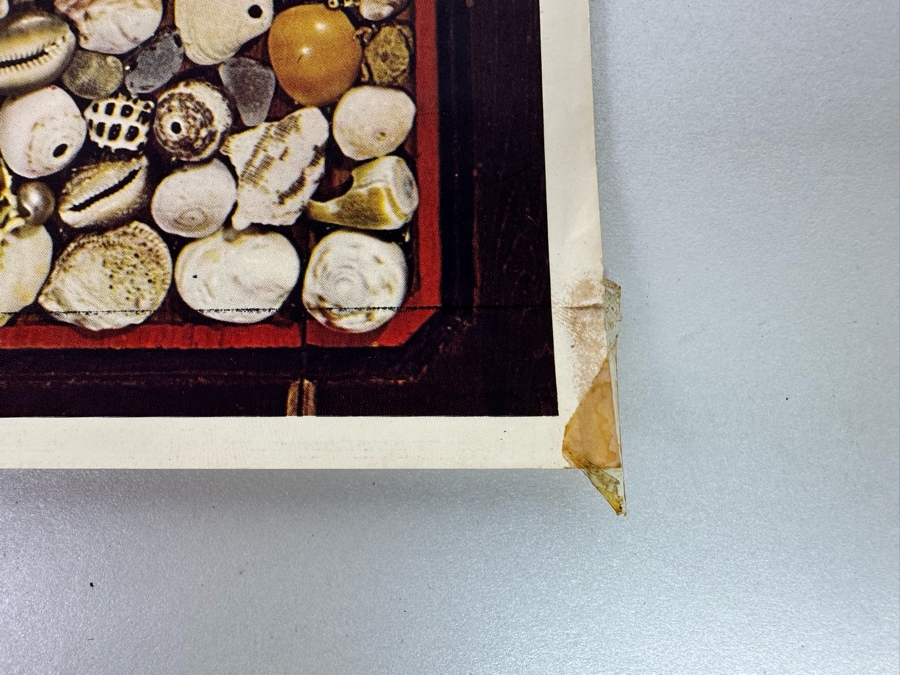 Vintage 'A Sea for Yourself' Surf Movie Poster by Hal Jensen 12 X 18.5 [Photo 8]