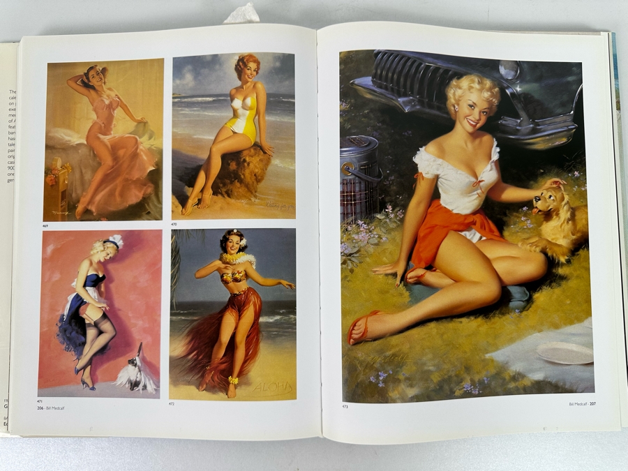 The Great American Pin-Up by Charles Martignette and Louis Meisel [Photo 7]