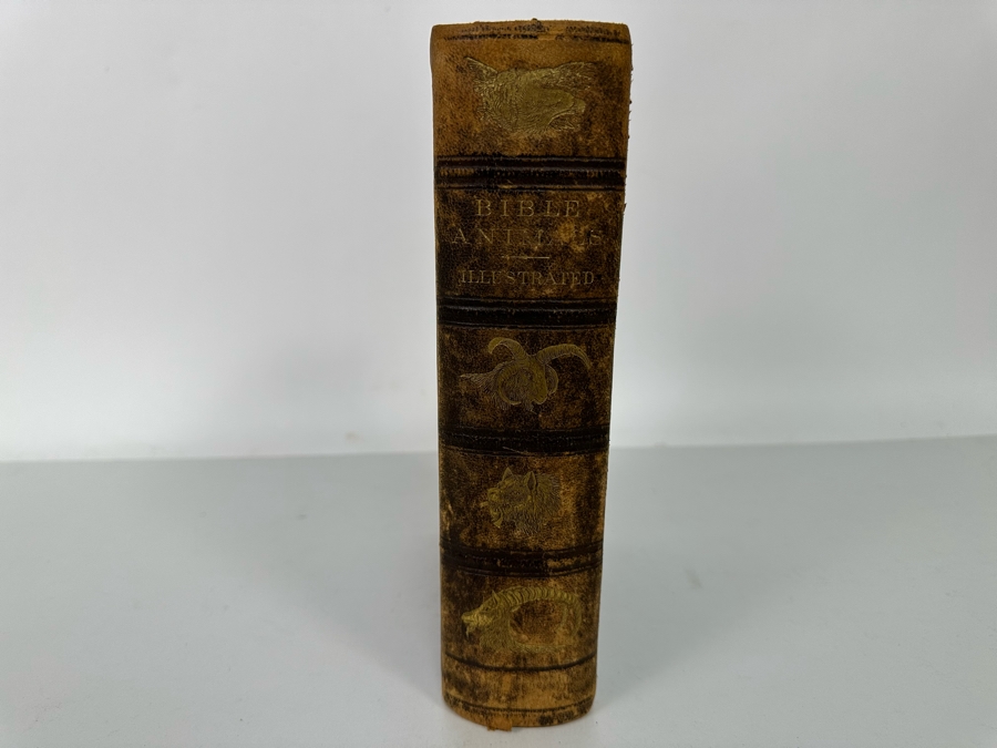 Wood's Bible Animals Illustrated Hardcover 1876 6W x 9.5L x 2.25H [Photo 5]