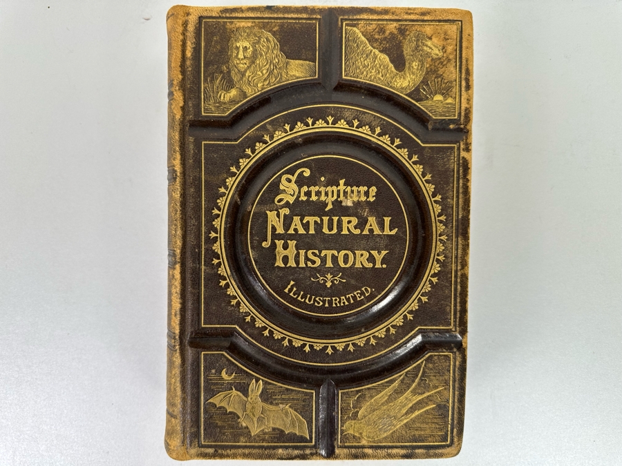 Wood's Bible Animals Illustrated Hardcover 1876 6W x 9.5L x 2.25H [Photo 2]