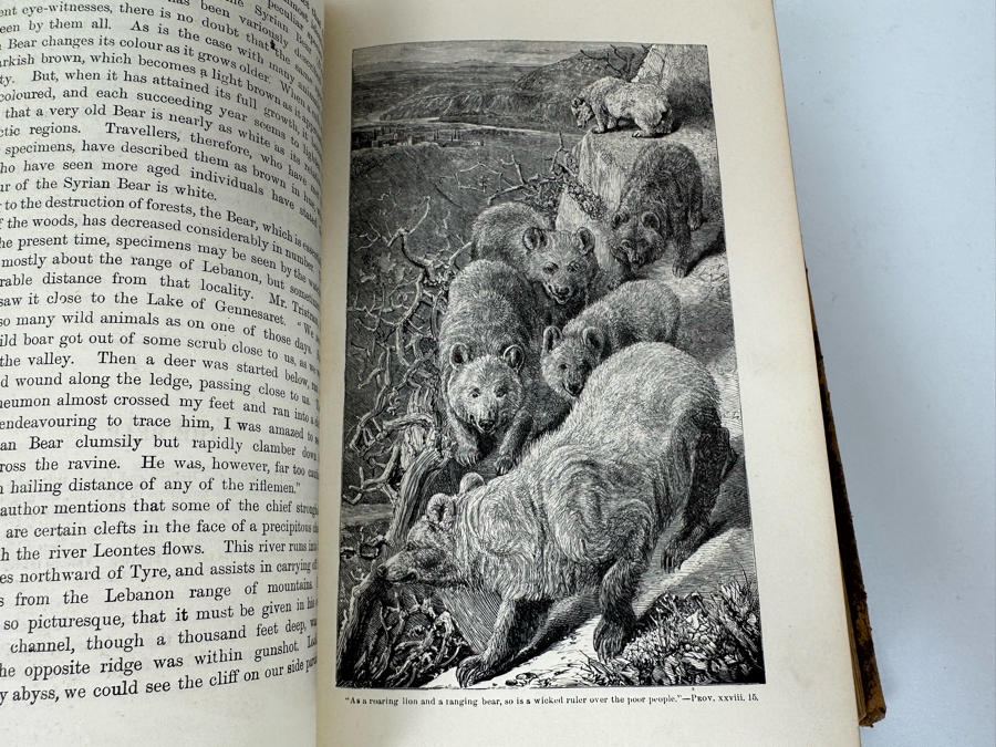 Wood's Bible Animals Illustrated Hardcover 1876 6W x 9.5L x 2.25H [Photo 18]