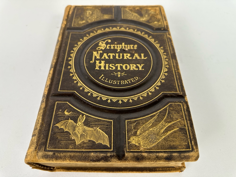 Wood's Bible Animals Illustrated Hardcover 1876 6W x 9.5L x 2.25H [Photo 3]