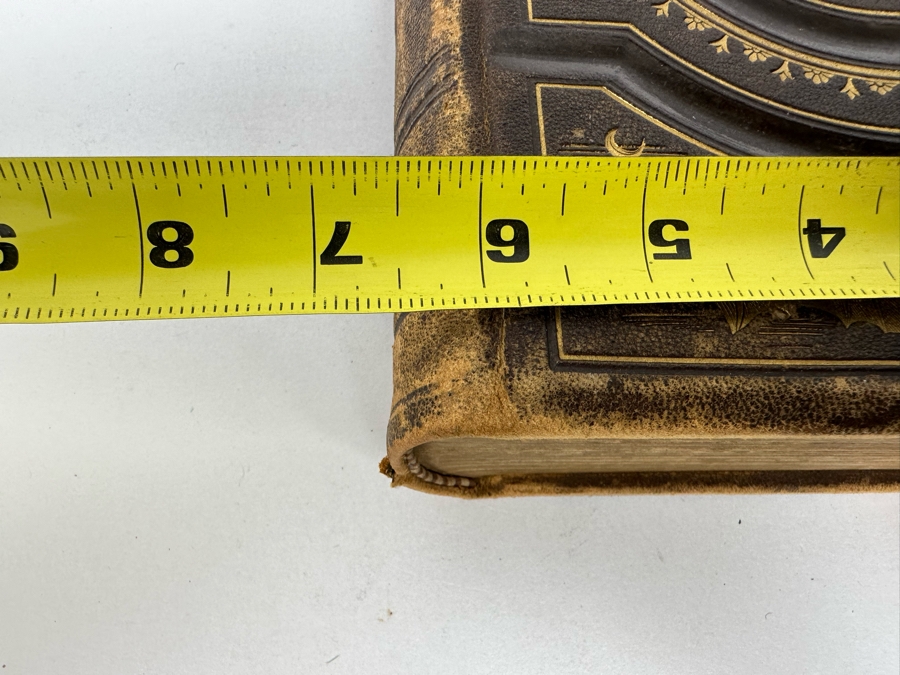 Wood's Bible Animals Illustrated Hardcover 1876 6W x 9.5L x 2.25H [Photo 20]