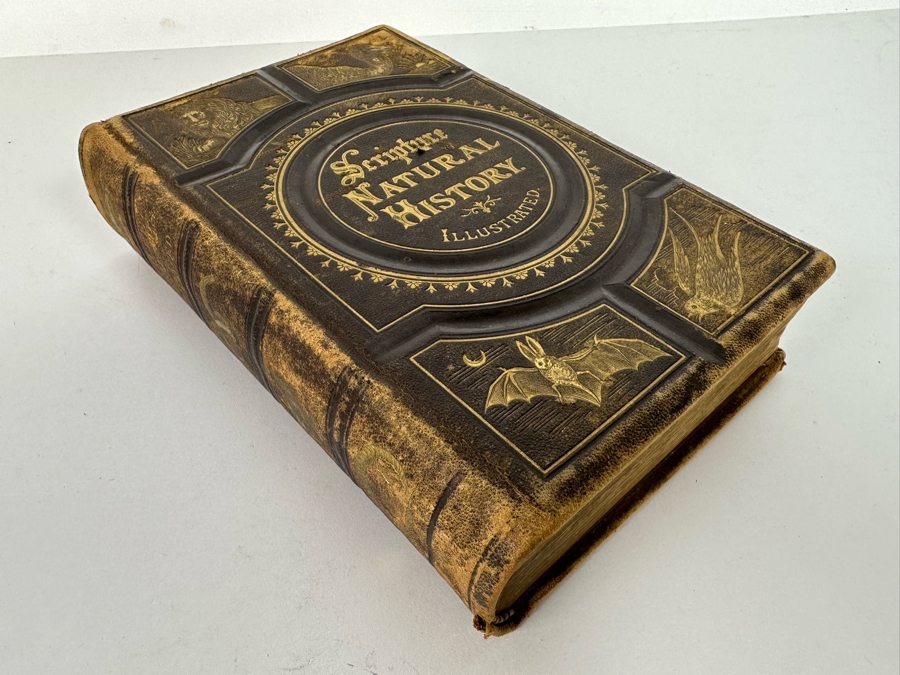Wood's Bible Animals Illustrated Hardcover 1876 6W x 9.5L x 2.25H [Photo 4]