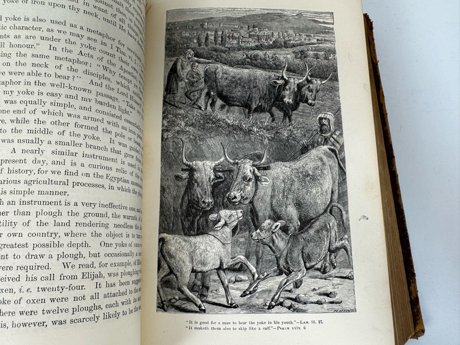 Wood's Bible Animals Illustrated Hardcover 1876 6W x 9.5L x 2.25H [Photo 17]