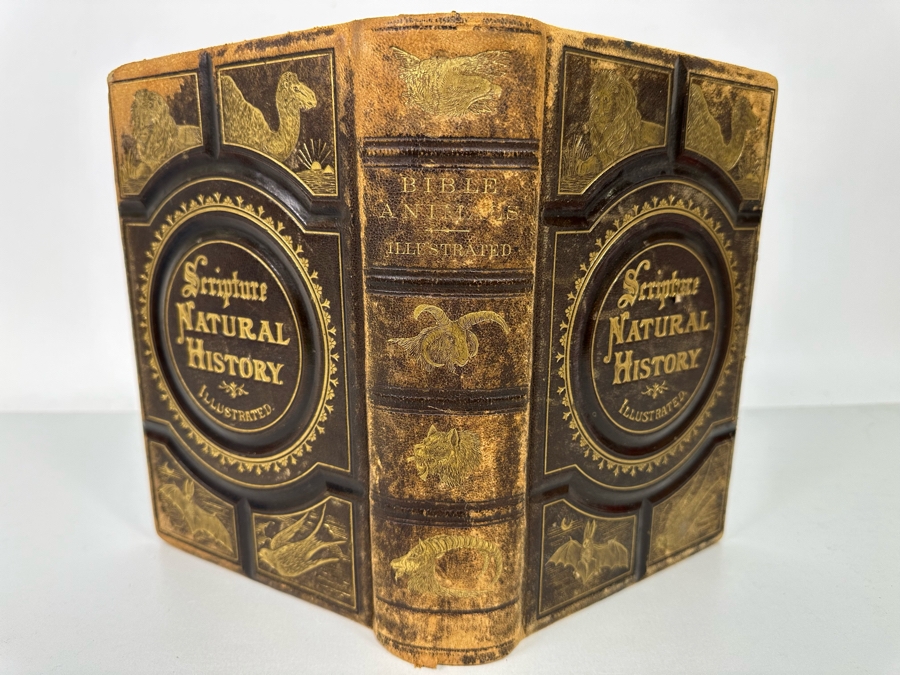 Wood's Bible Animals Illustrated Hardcover 1876 6W x 9.5L x 2.25H [Photo 6]