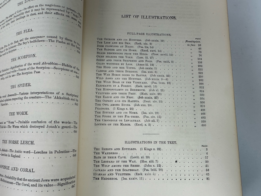 Wood's Bible Animals Illustrated Hardcover 1876 6W x 9.5L x 2.25H [Photo 12]