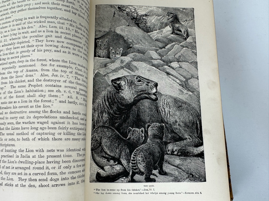 Wood's Bible Animals Illustrated Hardcover 1876 6W x 9.5L x 2.25H [Photo 14]