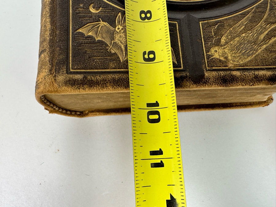 Wood's Bible Animals Illustrated Hardcover 1876 6W x 9.5L x 2.25H [Photo 21]