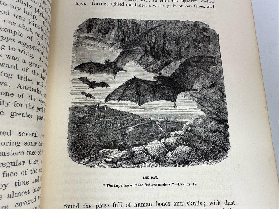 Wood's Bible Animals Illustrated Hardcover 1876 6W x 9.5L x 2.25H [Photo 15]