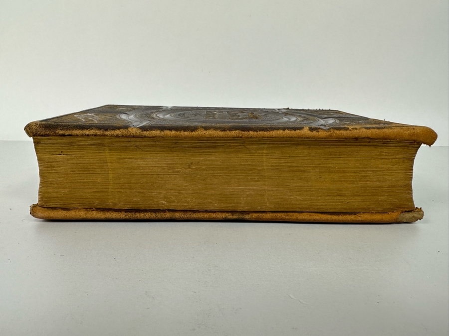 Wood's Bible Animals Illustrated Hardcover 1876 6W x 9.5L x 2.25H [Photo 19]