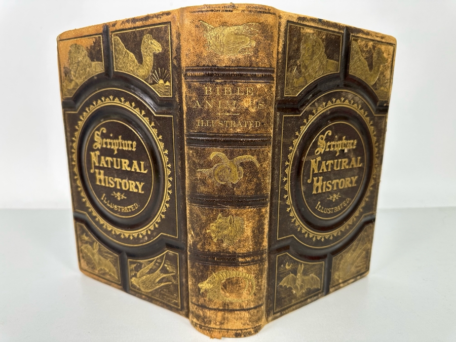 Wood's Bible Animals Illustrated Hardcover 1876 6W x 9.5L x 2.25H [Photo 7]