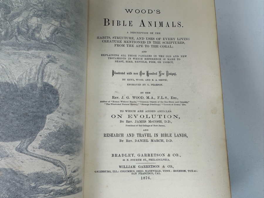 Wood's Bible Animals Illustrated Hardcover 1876 6W x 9.5L x 2.25H [Photo 9]