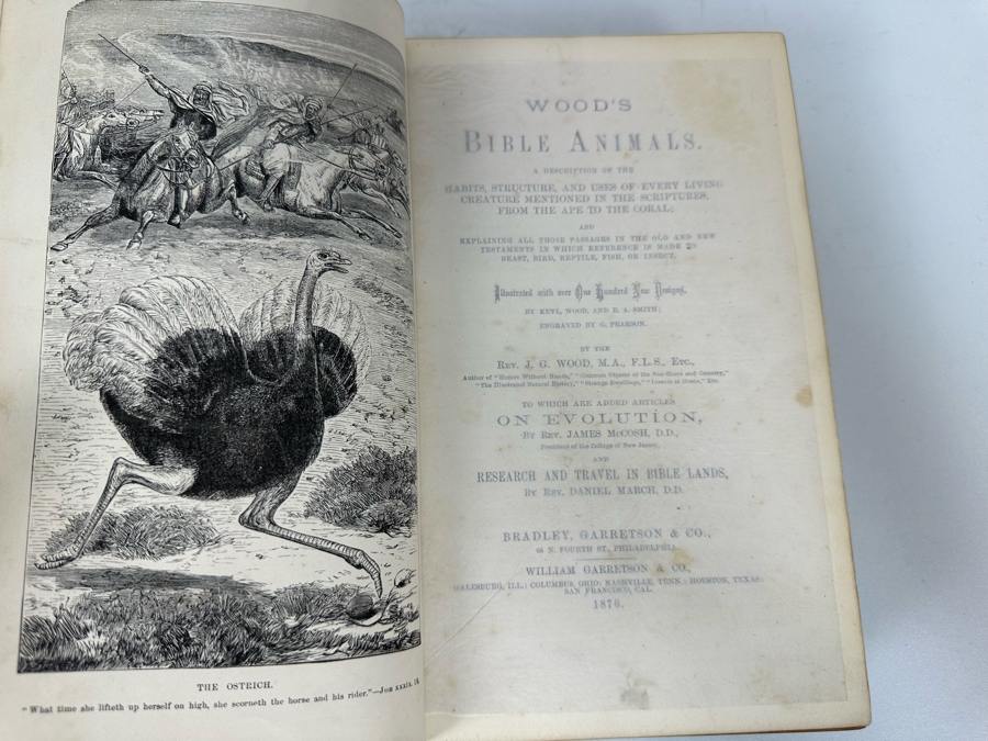 Wood's Bible Animals Illustrated Hardcover 1876 6W x 9.5L x 2.25H [Photo 8]