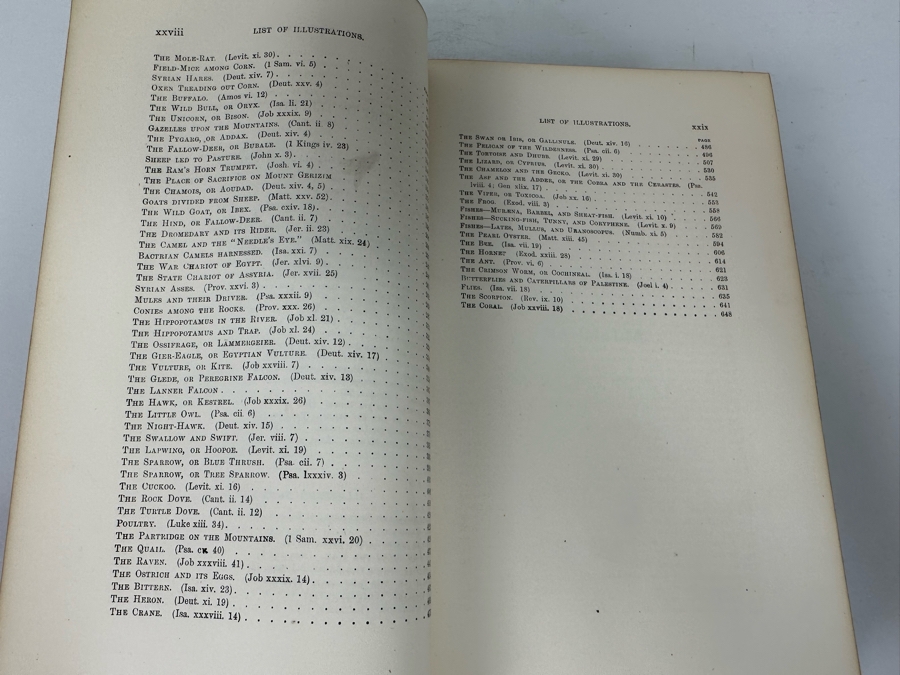 Wood's Bible Animals Illustrated Hardcover 1876 6W x 9.5L x 2.25H [Photo 13]