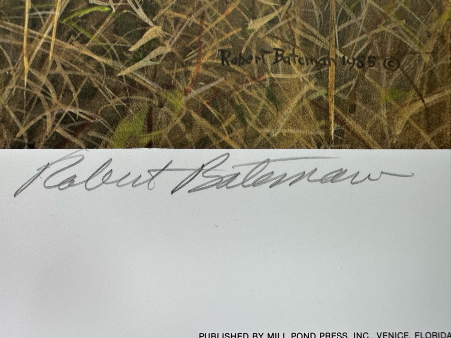 Robert Bateman Vintage 1985 Hand Signed Limited Edition Print Titled Lions In The Grass Numbered 245 Of 950 33 X 20 Paper Measures 37 X 24 [Photo 7]