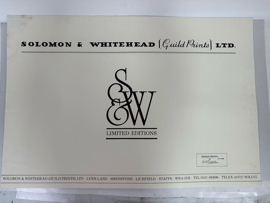 Robert Bateman Vintage 1985 Hand Signed Limited Edition Print Titled Lions In The Grass Numbered 245 Of 950 33 X 20 Paper Measures 37 X 24 [Photo 3]