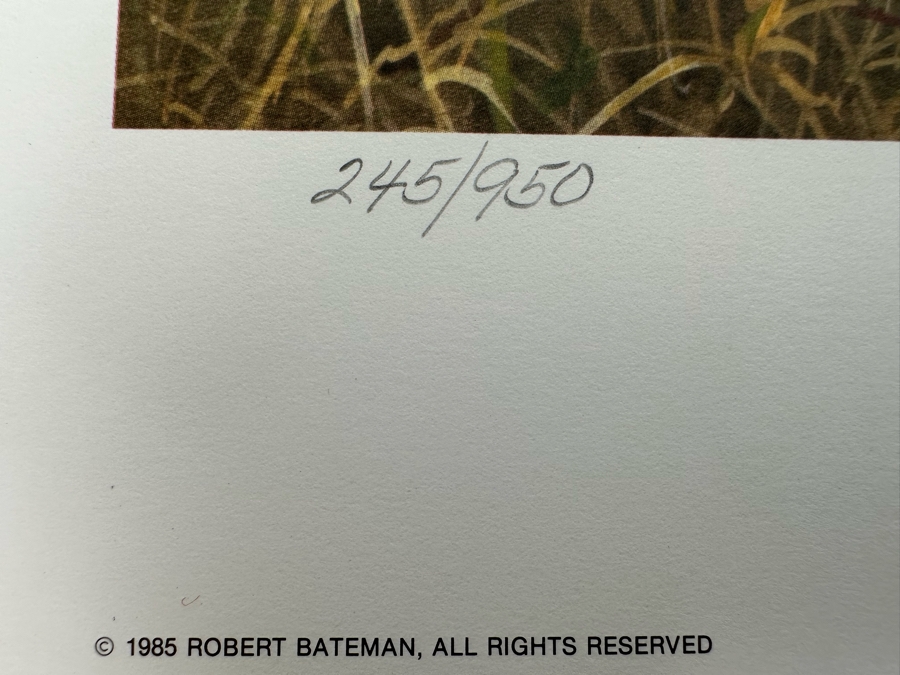 Robert Bateman Vintage 1985 Hand Signed Limited Edition Print Titled Lions In The Grass Numbered 245 Of 950 33 X 20 Paper Measures 37 X 24 [Photo 9]