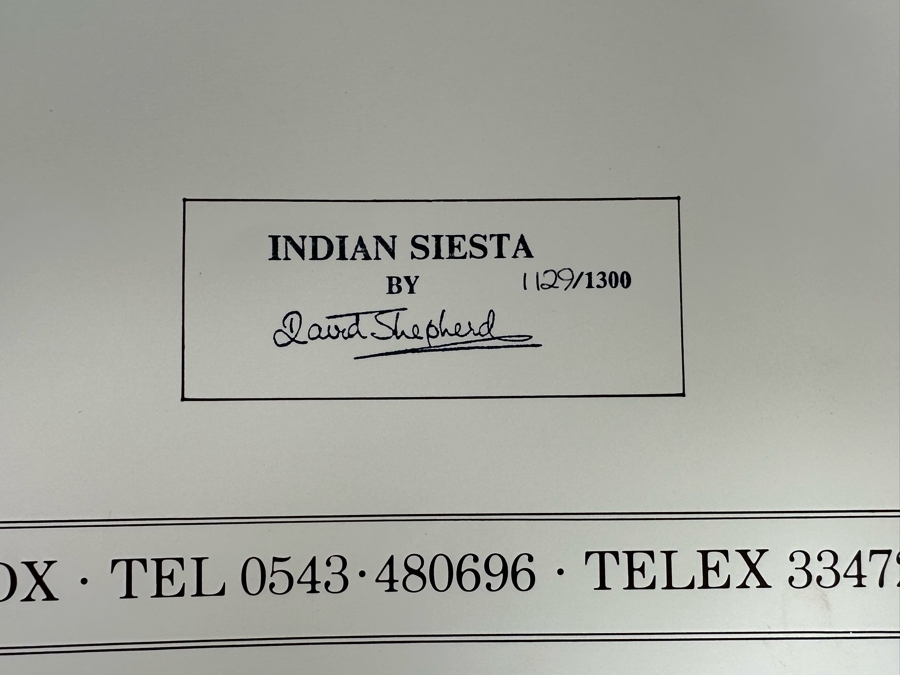 Robert Bateman Vintage 1985 Hand Signed Limited Edition Print Titled Lions In The Grass Numbered 245 Of 950 33 X 20 Paper Measures 37 X 24 [Photo 4]