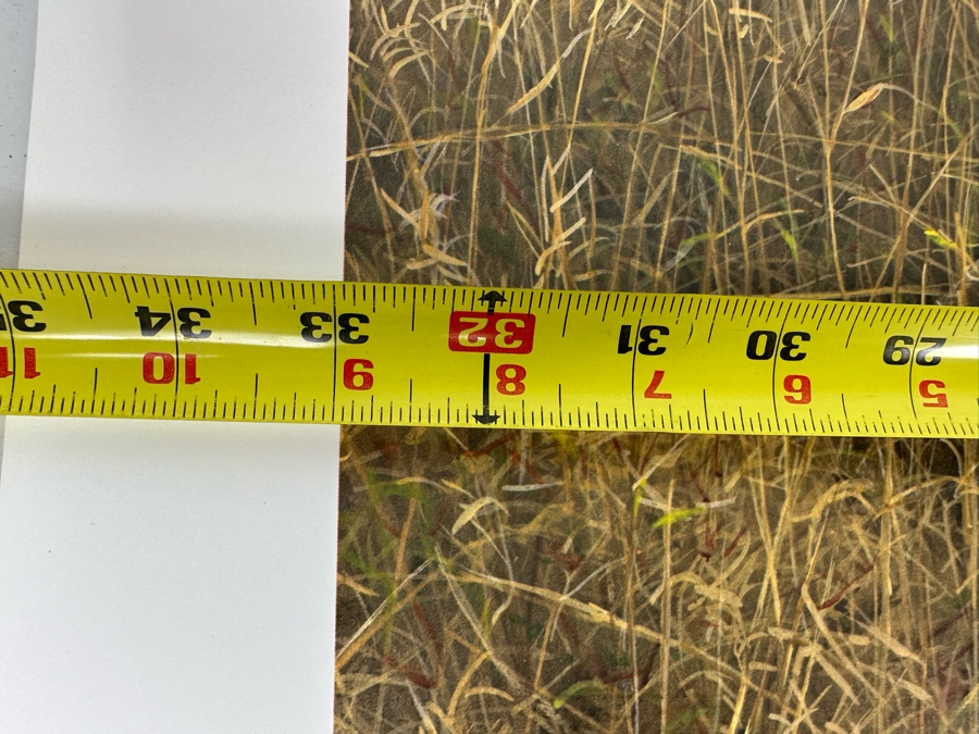 Robert Bateman Vintage 1985 Hand Signed Limited Edition Print Titled Lions In The Grass Numbered 245 Of 950 33 X 20 Paper Measures 37 X 24 [Photo 13]