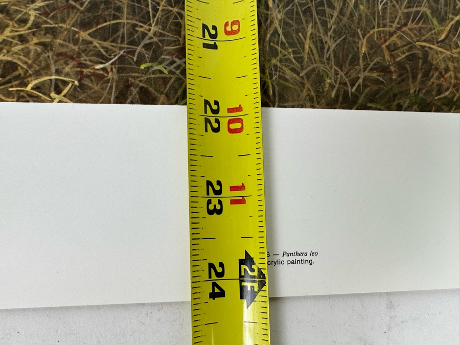 Robert Bateman Vintage 1985 Hand Signed Limited Edition Print Titled Lions In The Grass Numbered 245 Of 950 33 X 20 Paper Measures 37 X 24 [Photo 16]