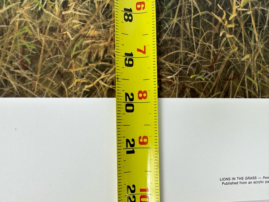 Robert Bateman Vintage 1985 Hand Signed Limited Edition Print Titled Lions In The Grass Numbered 245 Of 950 33 X 20 Paper Measures 37 X 24 [Photo 14]