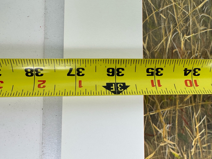 Robert Bateman Vintage 1985 Hand Signed Limited Edition Print Titled Lions In The Grass Numbered 245 Of 950 33 X 20 Paper Measures 37 X 24 [Photo 15]