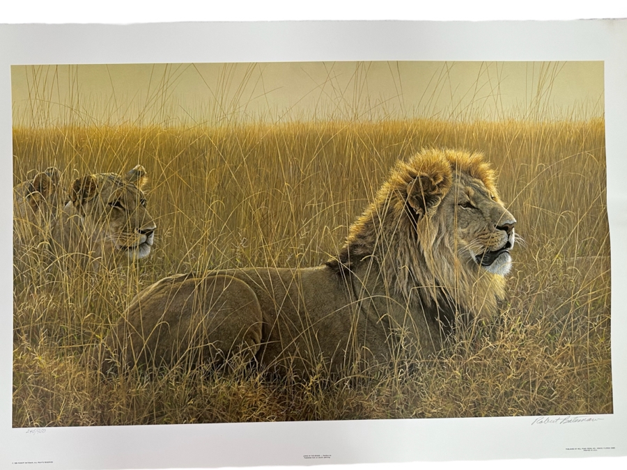 Robert Bateman Vintage 1985 Hand Signed Limited Edition Print Titled Lions In The Grass Numbered 245 Of 950 33 X 20 Paper Measures 37 X 24 [Photo 2]