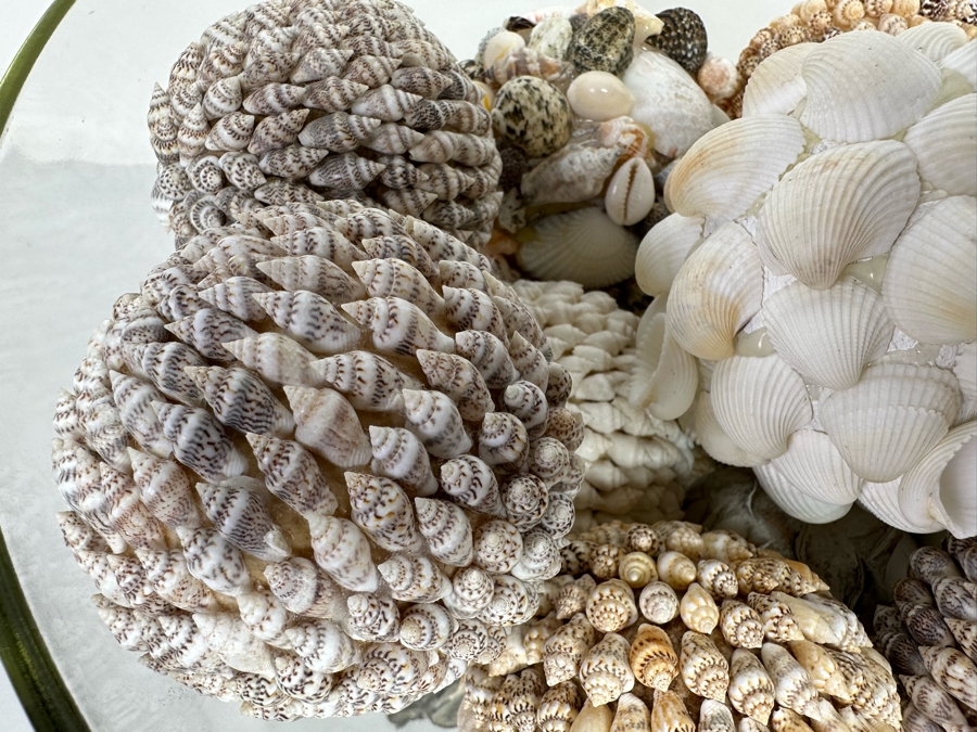 Centerpiece Bowl With Silverplate Stand Filled With Organic Shell Spheres Balls 13R X 9H [Photo 7]